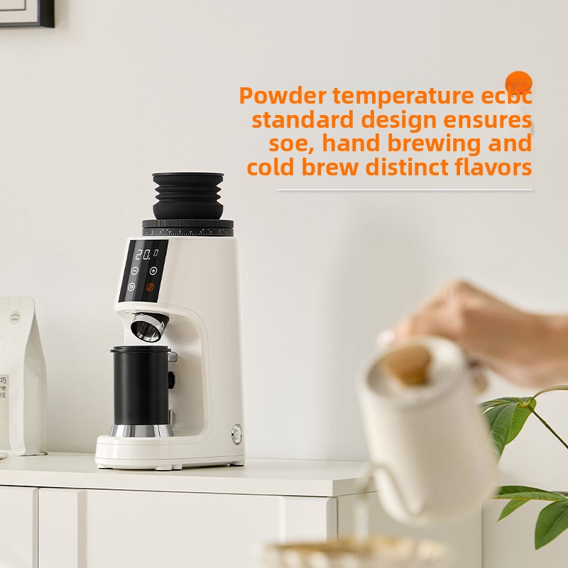 Electric Coffee Grinder, 100 S - Coffee Grinder Burr Flat recension och pris